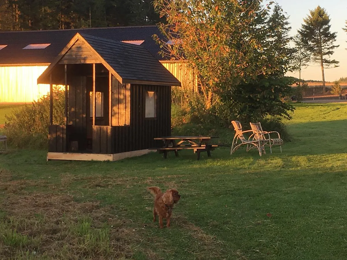 Bo & Balance Bed & Breakfast Aarhus